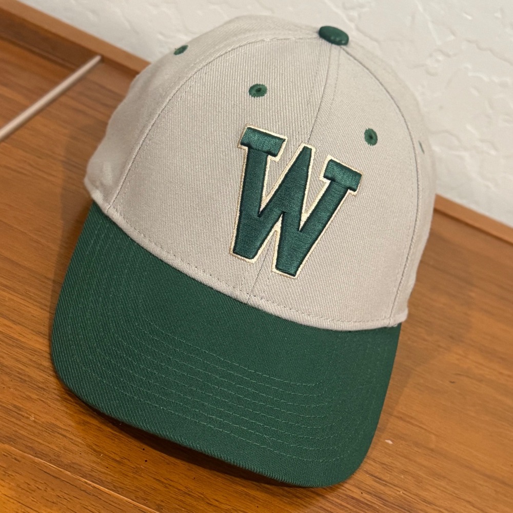 Nike Legacy91 Dri-FIT Hat Mens L/XL Gray Green Excellent Embroidered W Swoosh